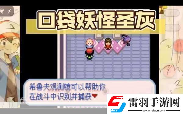 口袋妖怪圣灰快速升級作弊碼