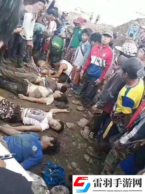 五人輪爆四輪定位緬甸事件引發(fā)廣泛關注與熱議