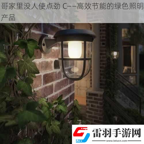 哥家里沒人使點勁
