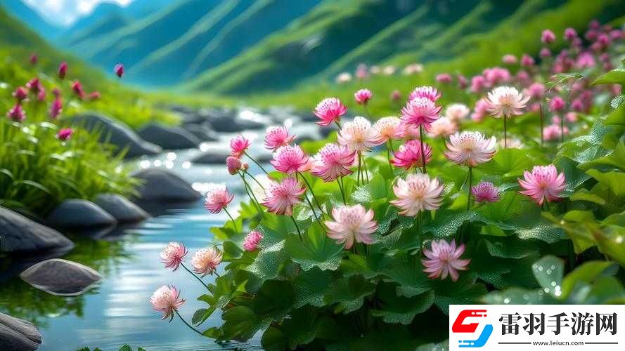 野花韓國(guó)視頻在線(xiàn)觀(guān)看免費(fèi)高清