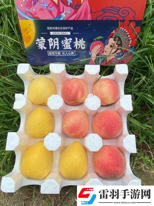 無人一區(qū)二區(qū)區(qū)別紅桃內幕揭秘