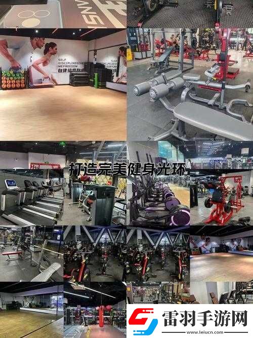 世界調制系統(tǒng)模式健身房