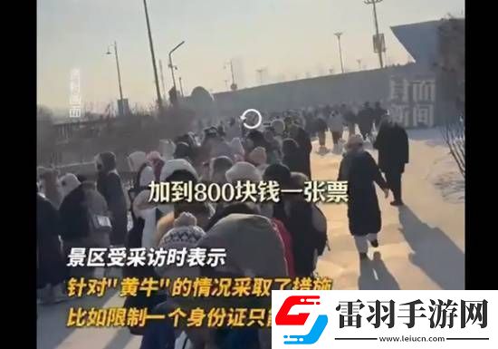 哈爾濱冰雪大世界開園3日遭吐槽排隊9小時黃牛加價800元走免排