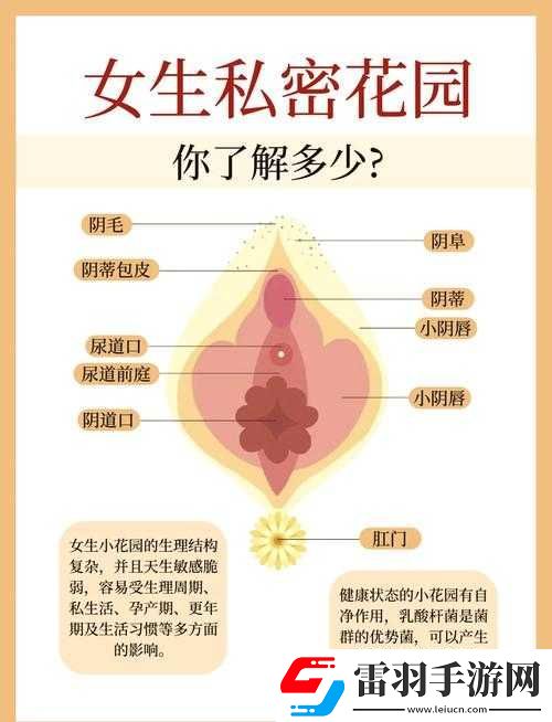 女人扒開(kāi)腿秘