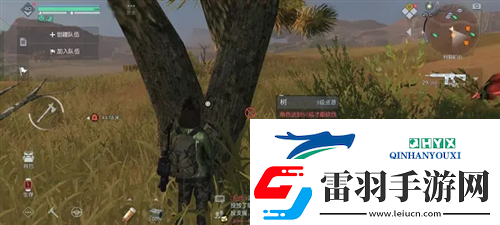 黎明覺(jué)醒杜松木怎么獲取