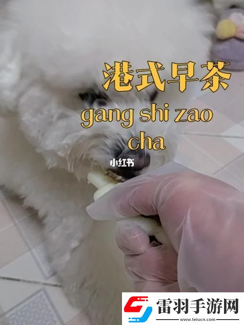 美國(guó)人與動(dòng)物膠配方有幾種讀者