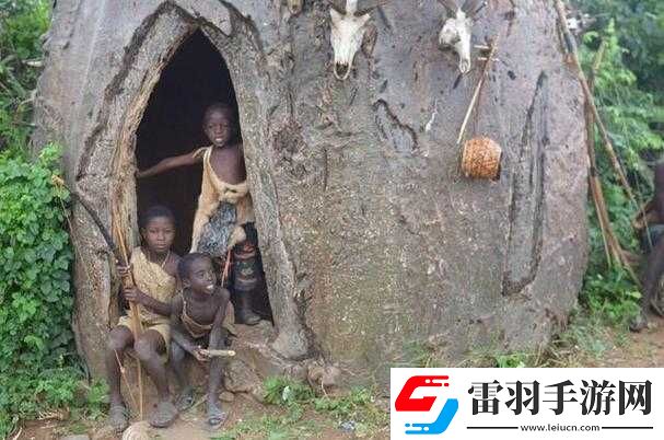 非洲人與性動交