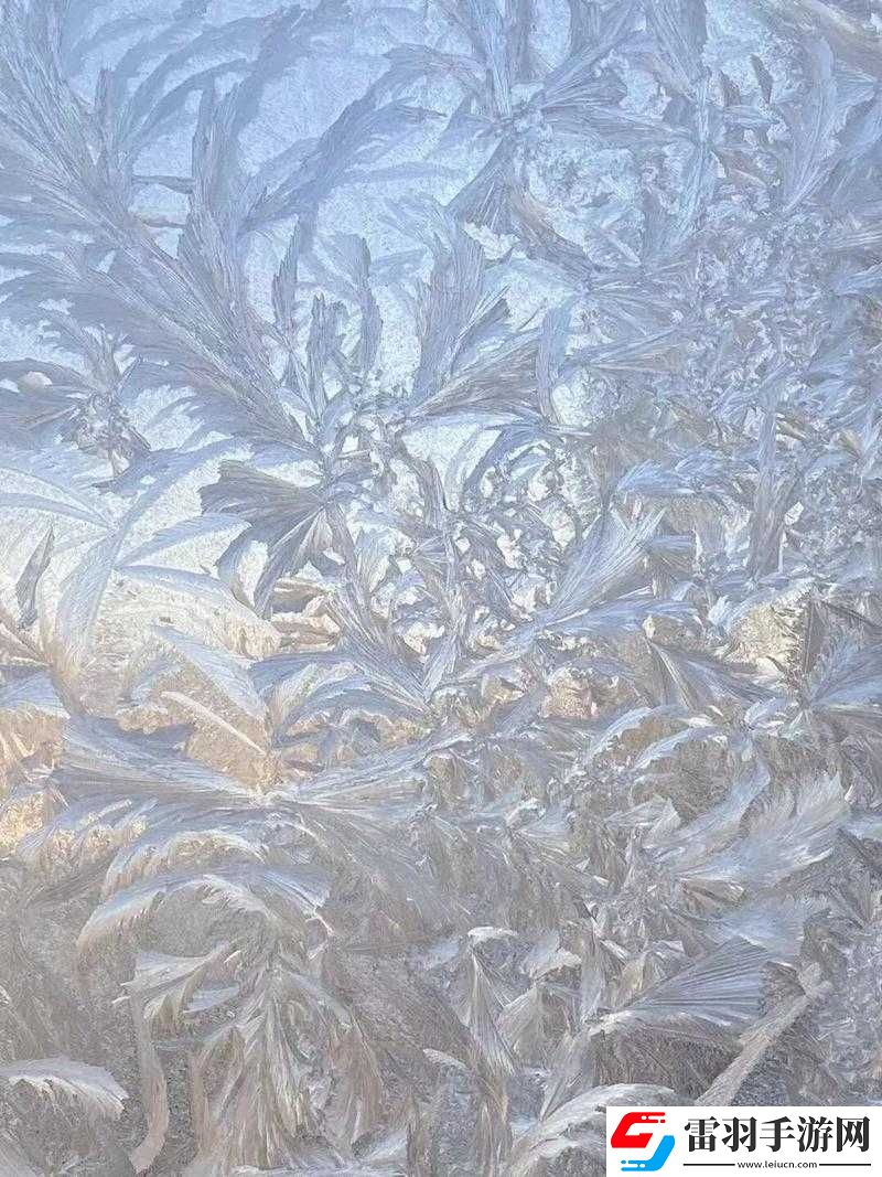 趴在玻璃窗做給別人看的獨特視角視頻呈現(xiàn)