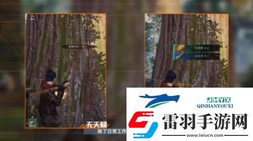黎明覺(jué)醒采集怎么沒(méi)有經(jīng)驗(yàn)了