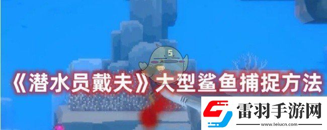 潛水員戴夫怎么捕捉大型鯊魚(yú)