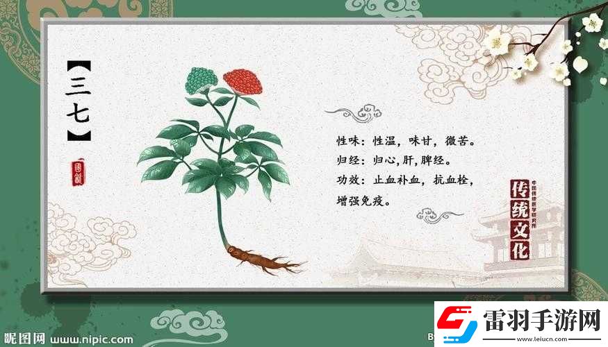 三七大但人文藝術(shù)免費(fèi)