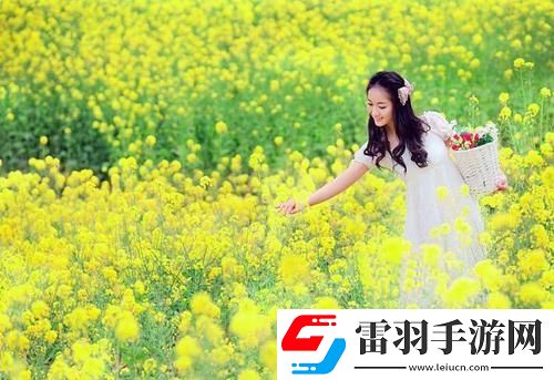 大象回家視頻永不迷路入口-大象回家視頻永不迷路入口不限次數(shù)版v4.6.5